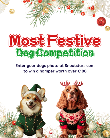 Competition Image